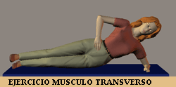 ejercicio_musculo_transverso