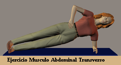 ejercicio_musculo_transverso