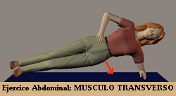 ejercicio_musculo_transverso