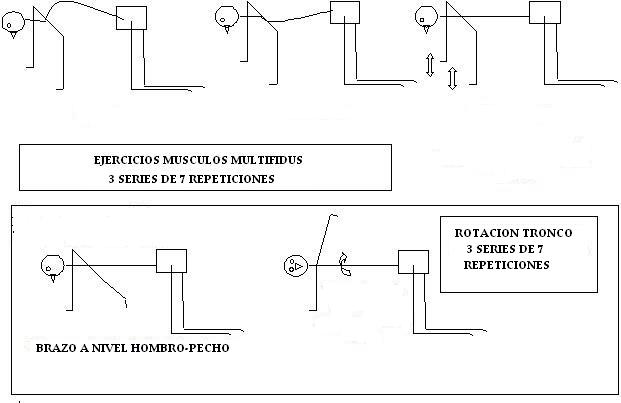 ejercicio_musculo_multifidus