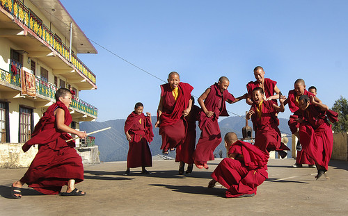 monjes_budistas