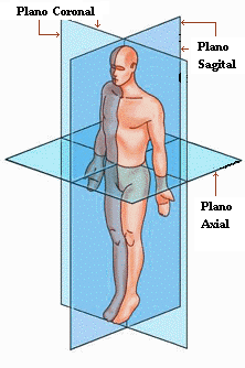 planos_anatomicos