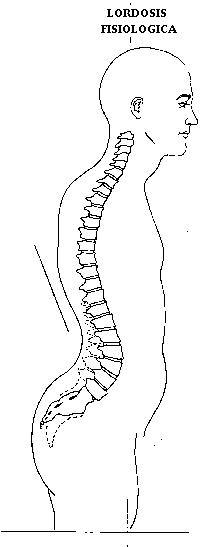 lordosis_fisiologica