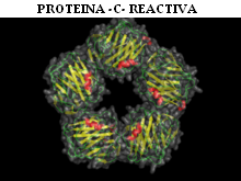 proteina_c_reactiva