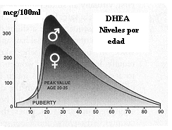 niveles_de_DHEA