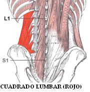 cuadrado_lumbar