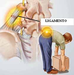 ligamento_lumbar