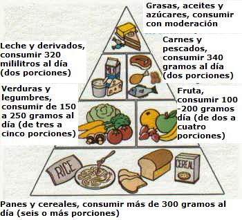 piramide_alimenticia