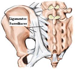 ligamentos_sacroiliacos