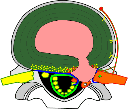 Dbol tablets side effects