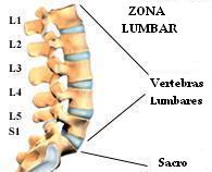 vertebras_lumbares